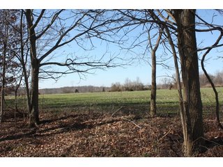 Property photo 17 - REAL ESTATE AUCTION - 366+/- ACRES OFFERED IN 5 TRACTS IN WESTERN JEFFERSON COUNTY, INDIANA